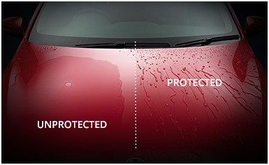 Red Shield Auto Protection number